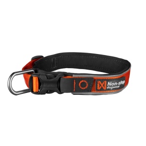 Non-Stop Roam Collar Oransj