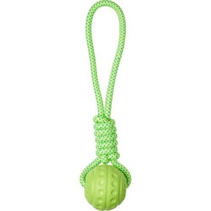 Companion Aqua Ball m/tau