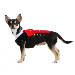 Bunad Hannhund
