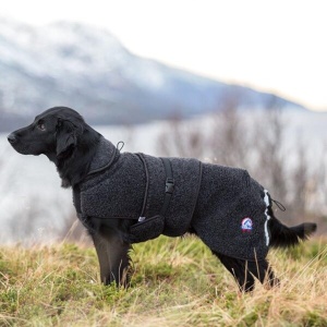Canelana Ambassadør Ulldekken Dachs 40cm